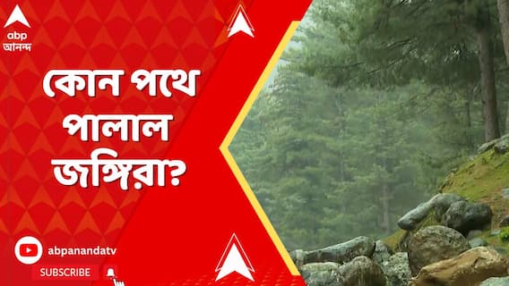 Kashmir: পহেলগাঁওয়ে গণহত্যার পর কোন পথে পালাল জঙ্গিরা? বৈসরন ভ্যালির জঙ্গলে কি আত্মগোপন করে রয়েছে?