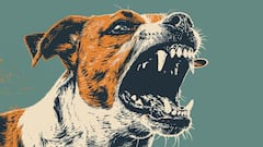 Seven-Year-Old Girl Contracts Rabies Despite Vaccination In Kerala’s Kollam; Condition Critical