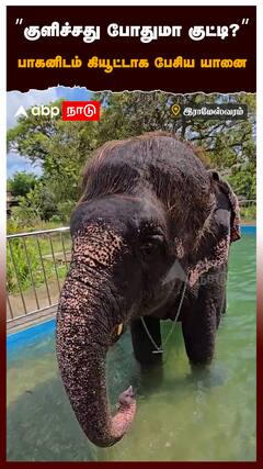 ”குளிச்சது போதுமா குட்டி?” பாகனிடம் கியூட்டாக பேசிய யானை : Rameswaram Elephant