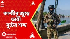 Kashmir News: কাশ্মীর জুড়ে ভারী বুটের শব্দ, প্রস্তুতি তুঙ্গে সেনার
