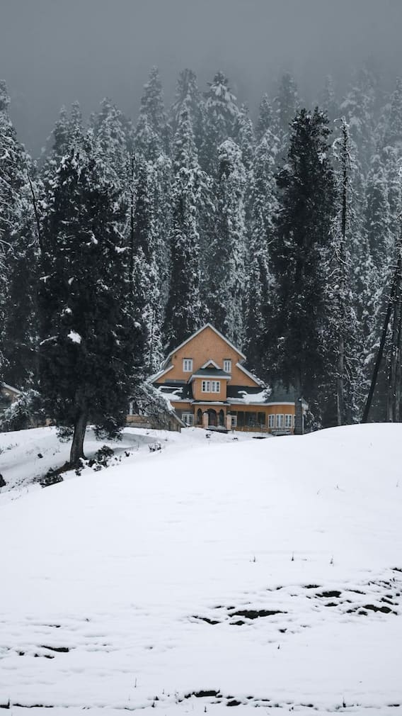 हिमाचल प्रदेश के 5 हिल स्टेशन, जहां प्रकृति की खूबसूरती हर दिल को भा जाए