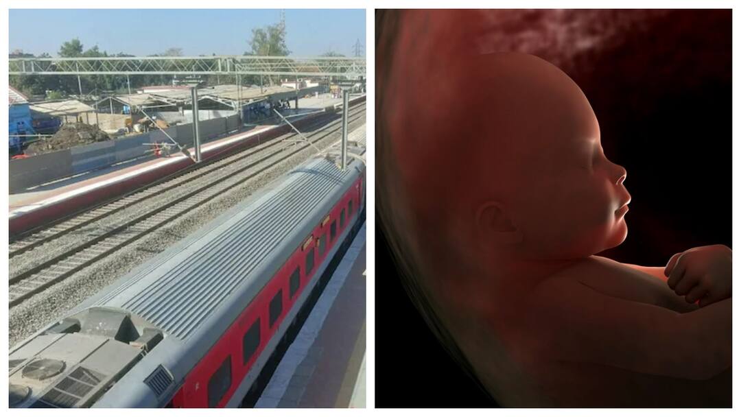 மின் கம்பியில் தொங்கிய மனித கரு.. பார்த்து ஷாக்கான பயணிகள்.. ரயில் நிலையம் அருகே பரபர