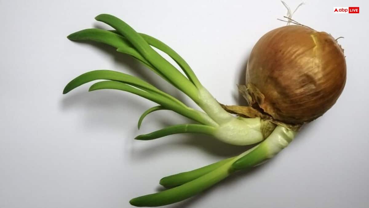 अंकुरित चने तो खूब खाए होंगे, लेकिन आज जान लीजिए अंकुरित प्याज के फायदे
