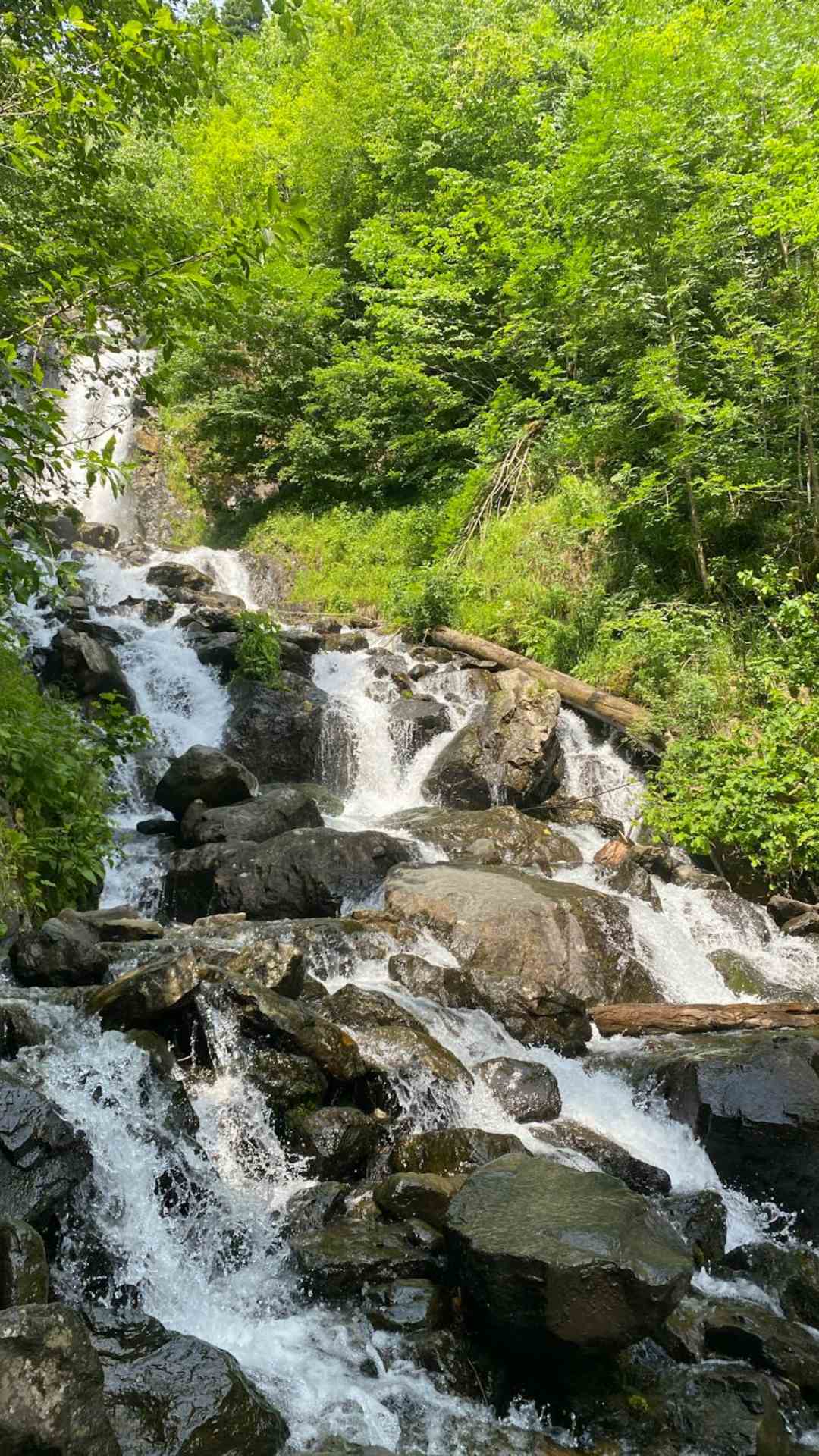 बिलासपुर से लगभग 45 किलोमीटर दूर स्थित यह स्थान ट्रैकिंग और प्राकृतिक सौंदर्य के लिए प्रसिद्ध है