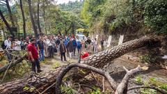 IMD Sounds Orange Alert For Hailstorm In Himachal, Unseasonal Weather Cast Shadow Over IPL Matches