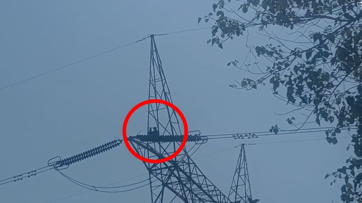 गजब कहानी: एक भाई नाइजर में अगवा, दूसरा कानपुर में फंसा, तीसरे ने टावर पर चढ़ किया हाईवोल्टेज ड्रामा