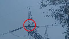 गजब कहानी: एक भाई नाइजर में अगवा, दूसरा कानपुर में फंसा, तीसरे ने टावर पर चढ़ किया हाईवोल्टेज ड्रामा 