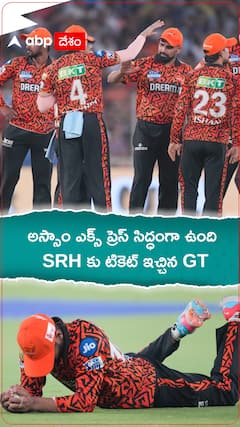 Sunrisers Hyderabad Playoff Scenario