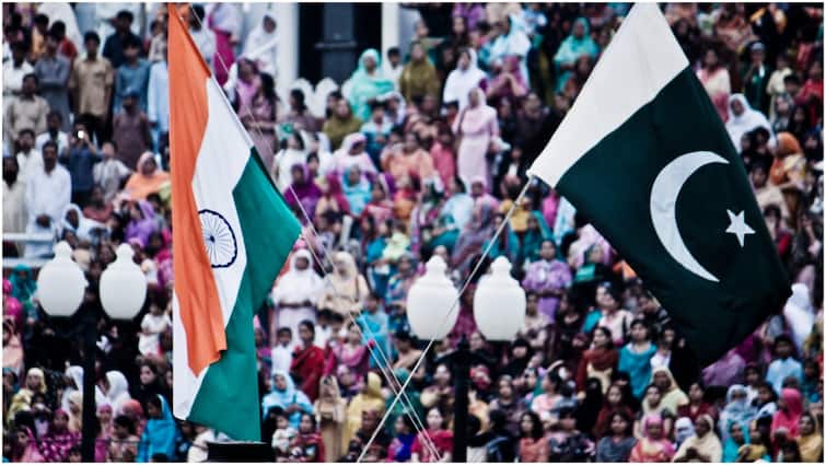 Pahalgam Attack Fallout: India Bans All Forms Of Imports From Pakistan