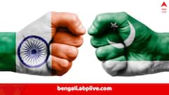 India-Pakistan Conflict: পাকিস্তান থেকে পণ্য আমদানি নিষিদ্ধ হল, পড়শি দেশকে ভাতে মারতে আরও একধাপ এগোল ভারত