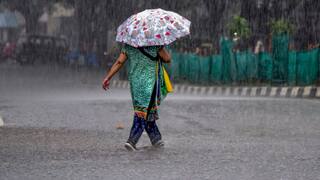 Weather: રાજ્યના આ 9  જિલ્લામાં અતિભારે વરસાદની આગાહી, હવામાન વિભાગનું યલો એલર્ટ