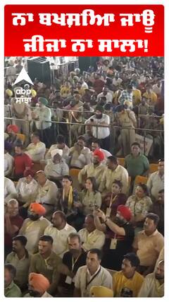 ਨਾ ਬਖਸ਼ਿਆ ਜਾਊ ਜੀਜਾ ਨਾ ਸਾਲਾ!