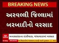Arvalli Rain: માલપુર, મેઘરજ, ભિલોડા સહિતના વિસ્તારોમાં બરબાદીનો વરસાદ, ખેતીપાકોને નુકસાનની ભીતિ