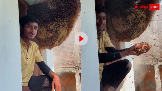 शख्स ने मधुमक्खी के छत्ते में डाल दिया हाथ! खतरनाक स्टंट देख आप भी सिहर उठेंगें, देखें वीडियो