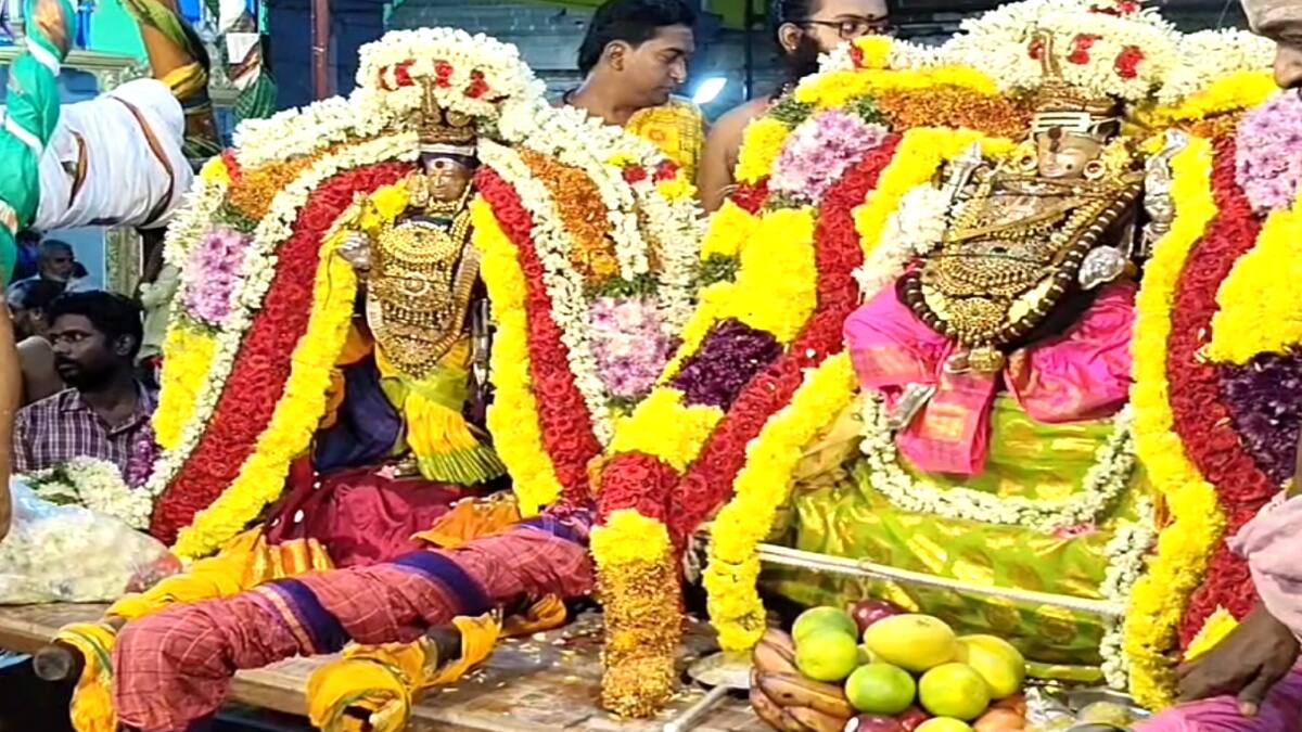 திருக்கடையூர் அமிர்தகடேஸ்வரர் அபிராமி அம்மன் திருக்கல்யாண உற்சவம் - கோயில் திரண்ட திரளான பக்தர்கள்