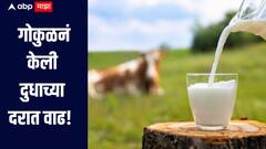 गोकुळनं केली दुधाच्या दरात वाढ, म्हशीचं दूध 74 रुपये लिटर तर गायीचं दूध 58 रुपये
