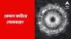 Daily Astrology: বিবাদের আশঙ্কা, বড় দুর্ঘটনার কবলে পড়তে পারেন; কেমন কাটবে সোমবার?