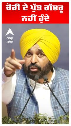 ਚੋਰੀ ਦੇ ਪੁੱਤ ਗੱਭਰੂ ਨਹੀਂ ਹੁੰਦੇ