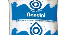 देश में सिर्फ अमूल और मदर डेरी ही नहीं, ये कंपनियां भी बेचती हैं मिल्क प्रॉडक्ट्स