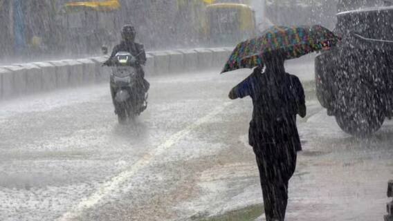 Gujarat Rain Forecast: હવામાન વિભાગની માવઠાની આગાહી દરમિયાન આ જિલ્લામાં ભારે પવન સાથે  વરસ્યો વરસાદ