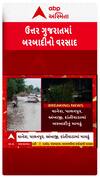 North Gujarat Rain:ઉત્તર ગુજરાતના તમામ જિલ્લાઓમાં બરબાદીનો વરસાદ | Abp Asmita