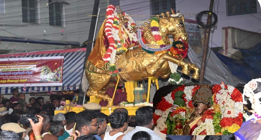 தங்கக் குதிரை வாகனத்தில் எழுந்தருளிய மீனாட்சியம்மன் சுந்தரேஸ்வரர் - வழிநெடுகிலும் பக்தர்கள் சாமி தரிசனம்
