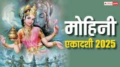 हैरान कर देगा मोहिनी एकादशी का सच! भगवान विष्णु को आखिर क्यों लेना पड़ा यह अवतार?