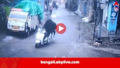 Viral Video: হেঁটে হেঁটে ক্লান্ত, স্কুটার দেখেই চেপে বসল ষাঁড়, তার পর…ভিডিও ভাইরাল