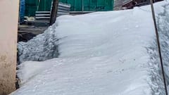 Badrinath Temple: āĻĒā§āώā§āĻĒāĻŦā§āώā§āĻāĻŋ āĻāϰ⧠āϏā§āĻŦāĻžāĻāϤ āĻāĻžāύāĻžāύ⧠āĻšāϞ āĻĒā§āĻŖā§āϝāĻžāϰā§āĻĨā§āĻĻā§āϰ, āĻāĻ āĻĨā§āĻā§ āĻā§āϞ⧠āĻā§āϞ āĻŦāĻĻā§āϰā§āύāĻžāĻĨā§āϰ āĻĻāϰāĻāĻž ..