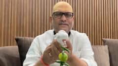 ‘Rafales Have Chilli, Lemon Hanging’: Ajay Rai Mocks Modi Govt, BJP Slams 'Pakistani Congress'