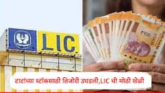 LIC : टाटांच्या 'या' कंपनीच्या शेअरसाठी एलआयसीनं तिजोरी उघडली, तब्बल 25 कोटी शेअर खरेदी, शेअर किती रुपयांवर?