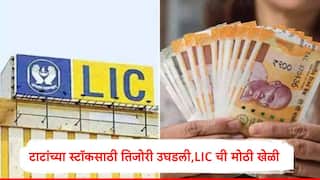 LIC : टाटांच्या 'या' कंपनीच्या शेअरसाठी एलआयसीनं तिजोरी उघडली, तब्बल 25 कोटी शेअर खरेदी, शेअर किती रुपयांवर?