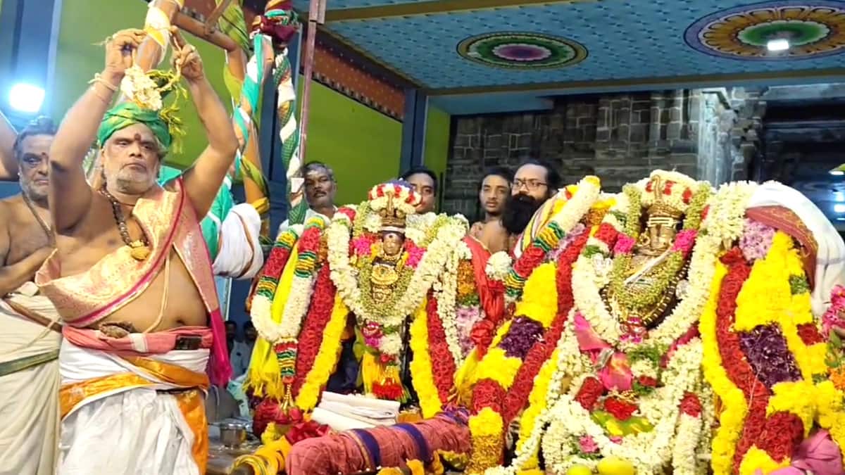 திருக்கடையூர் அமிர்தகடேஸ்வரர் அபிராமி அம்மன் திருக்கல்யாண உற்சவம் - கோயில் திரண்ட திரளான பக்தர்கள்