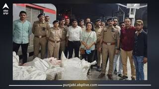 ਅੰਮ੍ਰਿਤਸਰ ਤੋਂ ਮੁੰਬਈ ਭੇਜਿਆ ਜਾ ਰਿਹਾ ਸੀ 1200 ਕਿਲੋ ਗਊ ਮਾਸ, ਵਡੋਦਰਾ ਰੇਲਵੇ ਸਟੇਸ਼ਨ 'ਤੇ ਟਰੇਨ ਦੀ ਜਾਂਚ ਦੌਰਾਨ ਪਰਦਾਫਾਸ਼, ਚਿਕਨ ਦੱਸ ਕੇ ਕੀਤਾ ਸੀ ਬੁੱਕ