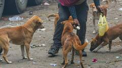 ऐसा प्यार कहां...! स्ट्रीट डॉग की मौत पर तेरहवीं, बाल मुंडवाए, मोहल्ले के कुत्तों को कराया भोज