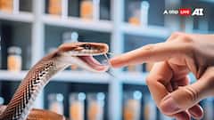 इस शख्स का खून बना सांप के जहर का दुश्मन! खुद को 18 साल में 800 से ज्यादा बार दिया 'विष'