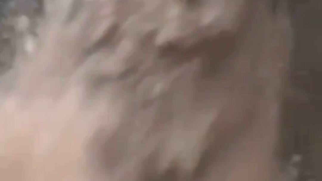 मसूरी में मूसलाधार बारिश से केम्पटी फॉल ने दिखाया रौद्र रूप, अलर्ट जारी Due to heavy rains in Mussoorie Kempty Falls showed its fierce form alert issued मसूरी में मूसलाधार बारिश से केम्पटी फॉल ने दिखाया रौद्र रूप, अलर्ट जारी