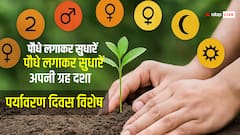 पर्यावरण दिवस विशेष: पौधे लगाकर कैसे सुधारें अपनी ग्रह दशा?