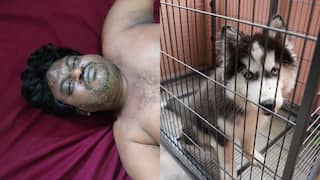 Viral News: యజమానిపై దాడి చేసి మర్మాంగాలు కొరికి తిన్న కుక్క, తెల్లారేసరికి విషాదం.. హైదరాబాద్‌లో ఘటన