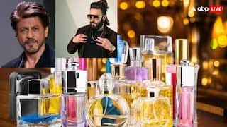 शाहरुख खान से लेकर रणवीर सिंह, जानें कौन-सा परफ्यूम यूज करते हैं सेलेब्स? चेक कर लें पूरी लिस्ट