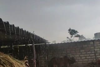 Botad Rain: બોટાદ જિલ્લાના વાતાવરણમાં પલટો, કરા સાથે કમોસમી વરસાદ શરુ 