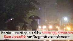 विदर्भात मुसळधार पाऊस; दोघांचा मृत्यू, राज्यात पाच दिवस अवकाळीचे, 'या' जिल्ह्यांमध्ये पावासाची शक्यता, वाचा हवामान विभागाचा अंदाज