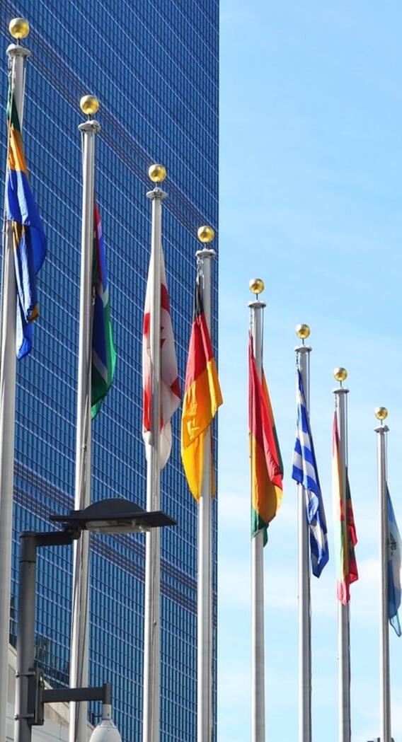 UNSC में कौन-कौन से देश शामिल हैं?