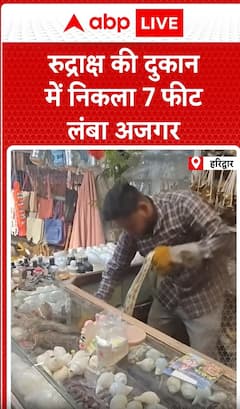 Breaking News: 7-Foot-Long Python Found Inside Rudraksha Shop | ABP NEWS