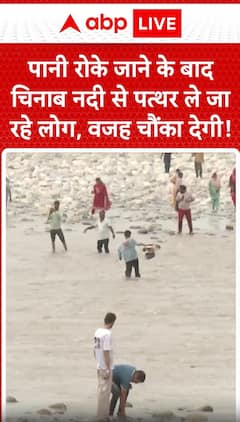 Breaking: People Seen Collecting Stones from Chenab River After Water is Halted — The Reason Will Surprise You