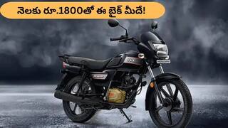 TVS Radeon: 730 km మైలేజ్‌ ఇచ్చే TVS బైక్‌ను కేవలం రూ.1800 EMIతో సొంతం చేసుకోండి