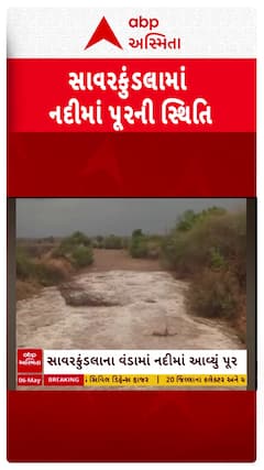 Amreli Unseasonal Rains : અમરેલીના સાવરકુંડલામાં ધોધમાર વરસાદથી નદીમાં પૂર