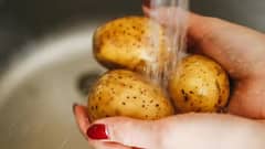 Vegetables: ભીંડાથી લઇ કોબીજ સુધી... વિદેશી છે આ શાકભાજીઓ, જાણો કઈ રીતે પહોંચી ભારત ?