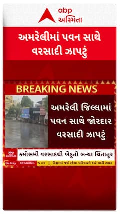 Amreli Unseasonal Rain : અમરેલી જિલ્લામાં પડ્યું વરસાદી ઝાપટું