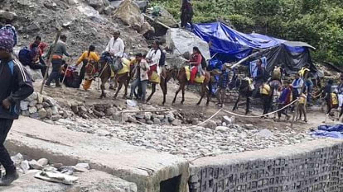 केदारनाथ यात्रा में घोड़ो खच्चरों में फैली रहस्यमयी बीमारी! दो दिन में 14 की मौत, 24 घंटे की रोक